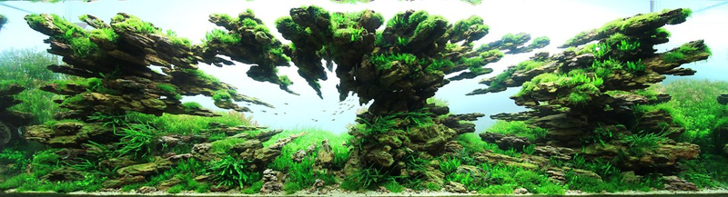 Illustration for article titled These beautiful natural landscapes are actually aquariums